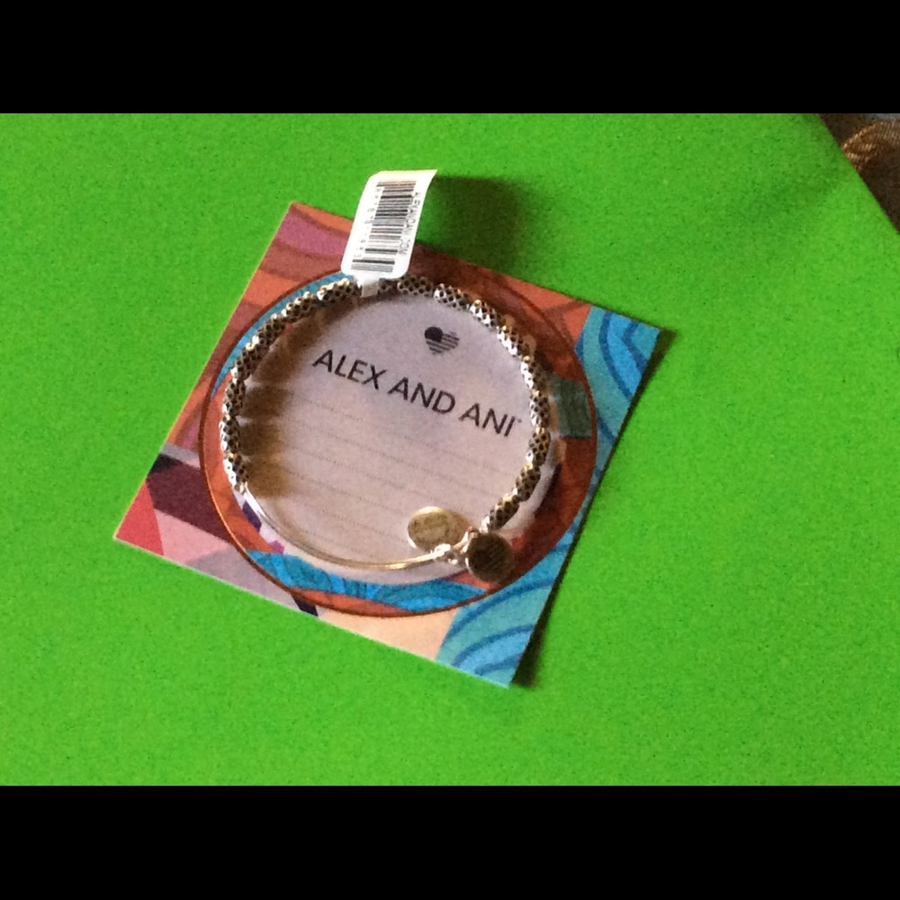 Alex and Ani bracelet
